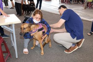 新竹縣動物保護防疫所免費幫毛孩打狂犬病疫苗。(新竹縣政府提供)