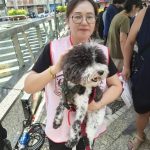 免費施打狂犬病疫苗 寵物嘉年華市集在芎林